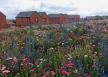 Slingsby Place, Sheffield