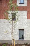 Wilkinsons Brook wins prestigious RIAI Award