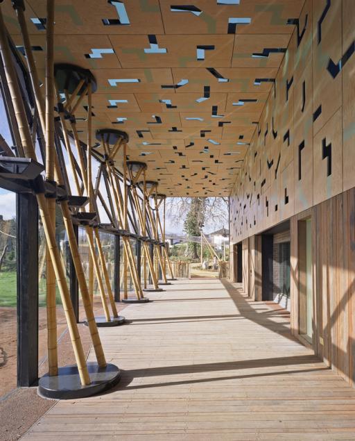 Gorilla Kingdom for The Zoological Society of London
